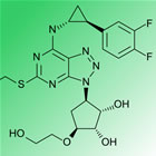 ticagrelor structure